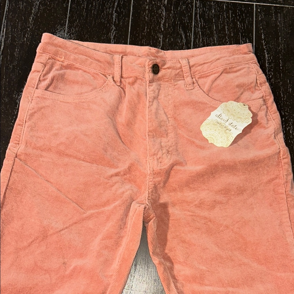 Alter’d State Mauve Corduroy Bell Bottom Pants